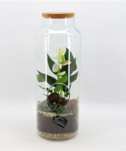 Anthu White Ancr 2111w In Glass Bottle With Cork D