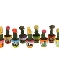 Gymno Japan Mix In Ceramic Classic Mexican