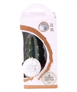 Cactus Cuddle In Giftbox