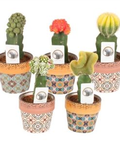 Gymno Japan Mix In Ceramic Classic Mosaic