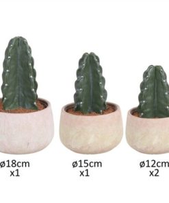 Cuddly Cactus Mixbox Sandlook Pot 2021