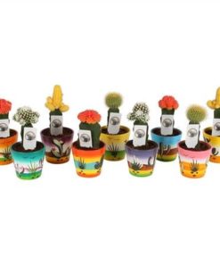 Gymno Japan Mix In Ceramic Classic Mexican