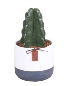 Cactus Cuddle In Ceramic Twotone
