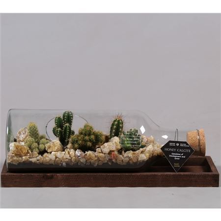 Cactus Mix In Lying Down Glass Bottle With Gemston